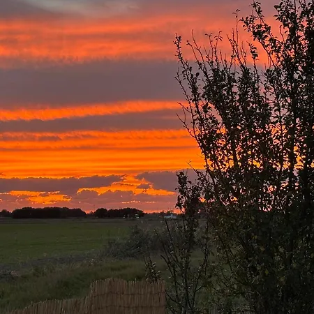La Vie Est Bulle, Nuit Insolite Sous Les étoiles, Au Calme Absolu, Avec Petit Déjeuner Cappelle-Brouck