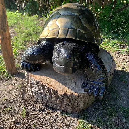 Campo de lujo La Vie Est Bulle, Nuit Insolite Sous Les étoiles, Au Calme Absolu, Avec Petit Déjeuner Cappelle-Brouck