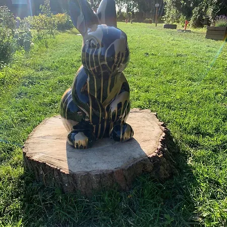 La Vie Est Bulle, Nuit Insolite Sous Les étoiles, Au Calme Absolu, Avec Petit Déjeuner * Cappelle-Brouck