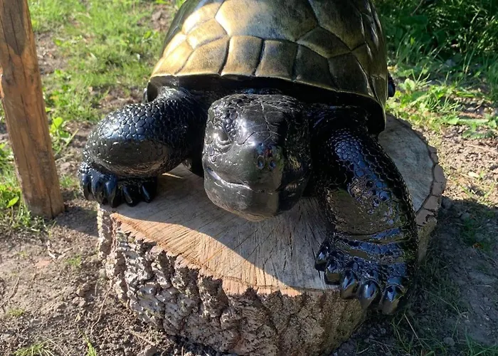 Luxe tent La Vie Est Bulle, Nuit Insolite Sous Les Etoiles, Au Calme Absolu, Avec Petit Dejeuner Cappelle-Brouck